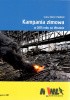 Okładka książki Kampania zimowa w 2015 roku na Ukrainie Łukasz Mamert Nadolski
