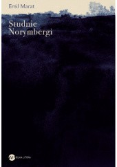 Okładka książki Studnie Norymbergi