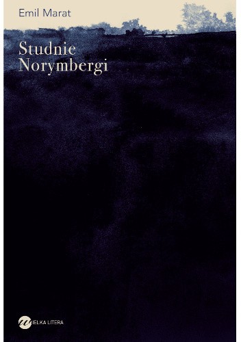Okładka książki Studnie Norymbergi Emil Marat