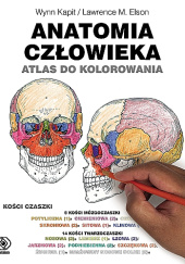 Okładka książki Anatomia człowieka. Atlas do kolorowania Lawrence M. Elson, Wynn Kapit