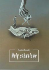 Okładka książki Wały szkwałowe Monika Brągiel