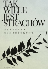 Okładka książki Tak wiele jest strachów Seweryna Szmaglewska