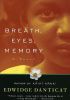 Breath, Eyes, Memory