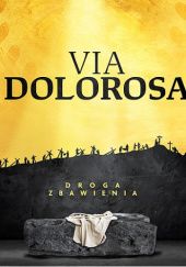 Okładka książki Via Dolorosa Paweł Bortkiewicz