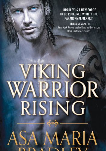 Okładki książek z cyklu Viking Warriors
