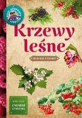 Okładka książki Krzewy leśne Tomasz Hryniewicki