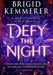 Okładka książki Defy the night Brigid Kemmerer