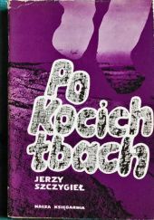 Okładka książki Po kocich łbach Jerzy Szczygieł