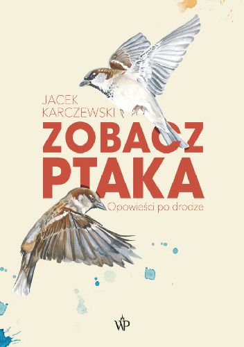 Zobacz ptaka Jacek Karczewski
