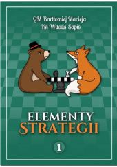 Elementy strategii 1
