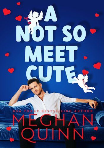 Okładka książki A Not So Meet Cute Meghan Quinn