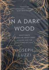 Okładka książki In a Dark Wood: What Dante Taught Me About Grief, Healing, and the Mysteries of Love Joseph Luzzi