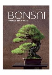 Okładka książki Bonsai to może być proste Helmut Rüger, Horst Stahl