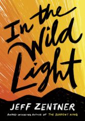 Okładka książki In the Wild Light Jeff Zentner