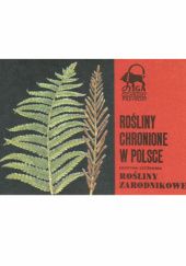 Rośliny chronione w Polsce. Rośliny zarodnikowe