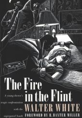 Okładka książki The Fire in the Flint Walter Francis White