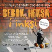 Okładka książki Bebok, heksa i inksi. Rzecz o śląskich strachach i straszkach Waldemar Cichoń