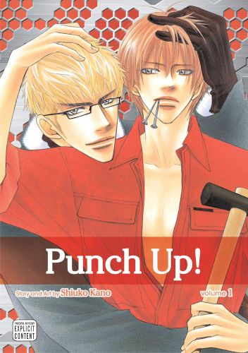 Okładki książek z cyklu Punch Up!