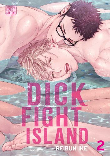 Okładki książek z cyklu Dick Fight Island