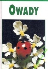 Owady