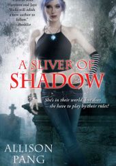 Okładka książki A Sliver of Shadow Allison Pang
