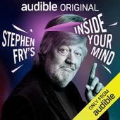 Okładka książki Stephen Fry's Inside Your Mind Stephen Fry