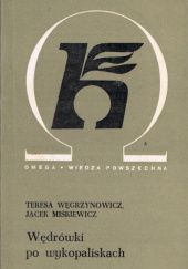Okładka książki Wędrówki po wykopaliskach Jacek Miśkiewicz, Teresa Węgrzynowicz