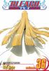 Bleach 36. Turn back the pendulum