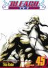Bleach 45. The Burnout Inferno