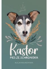 Okładka książki Kastor. Pies ze schroniska Alicja Kalinowska