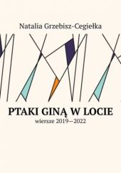 Okładka książki Ptaki giną w locie Natalia Grzebisz-Cegiełka
