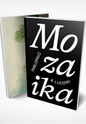Okładka książki Mozaika Jakub Sadowski, Marcin Sendecki, Paweł Sołtys