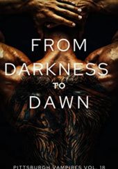 Okładka książki From Darkness To Dawn B.A. Stretke