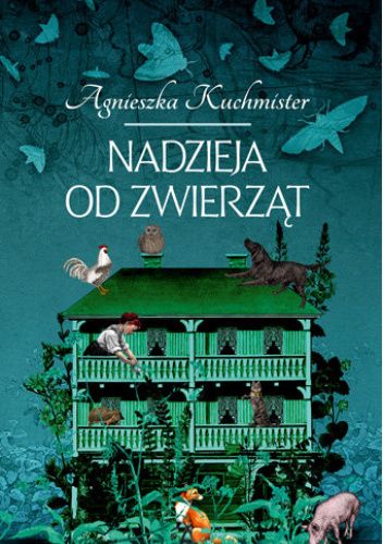Okładki książek z cyklu Seria sokołowska