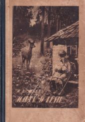 Okładka książki Marek w lesie Waldemar Bonsels