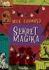 Okładka książki Sekret magika Max Czornyj
