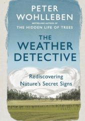 Okładka książki The weather detective Peter Wohlleben