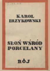 Okładka książki Słoń wśród porcelany (studia nad nowszą myślą literacką w Polsce) Karol Irzykowski