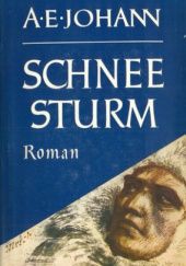 Okładka książki Schneesturm Alfred Ernst Johann