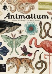 Okładka książki Animalium. Welcome to the Museum Jenny Broom, Katie Scott