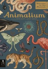 Okładka książki Animalium. Welcome to the Museum Jenny Broom, Katie Scott