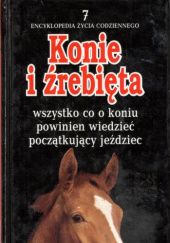 Okładka książki Konie i źrebięta Dorota Modlińska