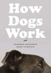 Okładka książki How Dogs Work Raymond Coppinger, Mark Feinstein