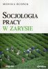 Okładka książki Socjologia pracy w zarysie Monika Budnik
