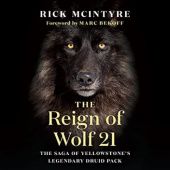Okładka książki The Reign of Wolf 21: The Saga of Yellowstones Legendary Druid Pack Rick McIntyre