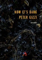 Okładka książki Now Its Dark Peter Gizzi