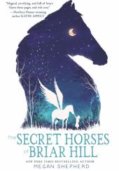 Okładka książki The Secret Horses of Briar Hill Megan Shepherd