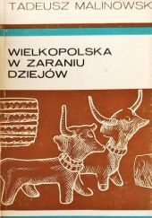 Wielkopolska w zaraniu dziejów