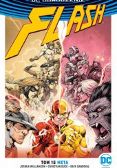 Flash: Meta