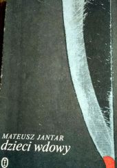 Okładka książki Dzieci wdowy Mateusz Jantar